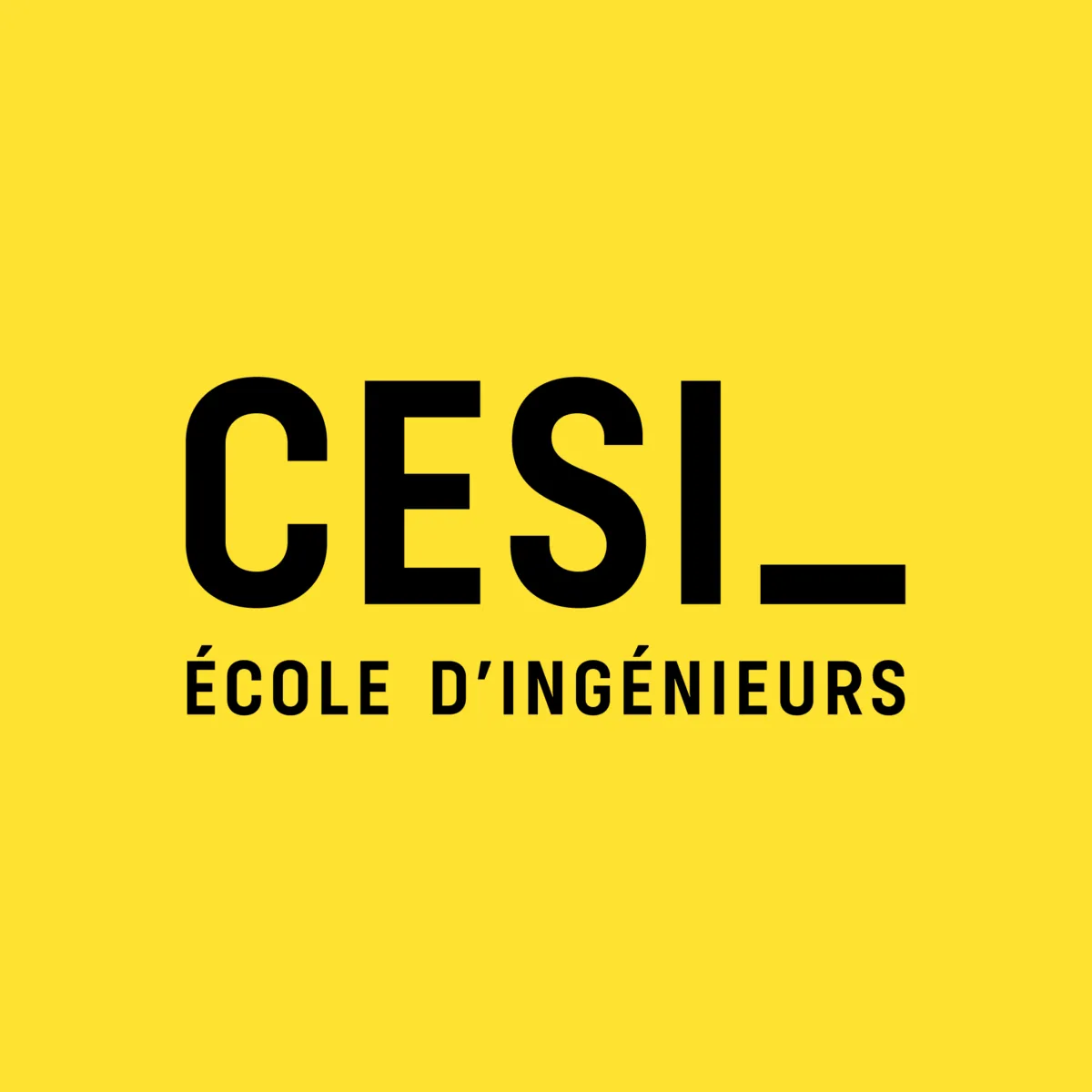CESI Alternance Toulouse